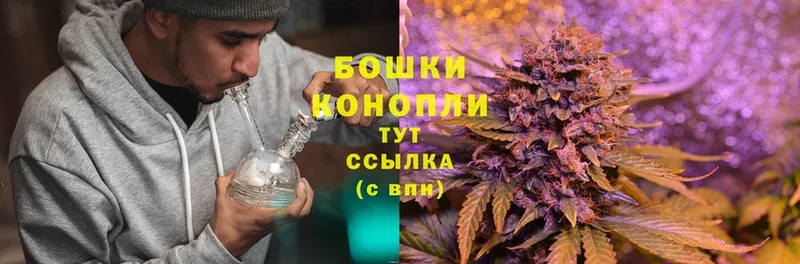 Шишки марихуана OG Kush  omg сайт  Торжок  где можно купить  